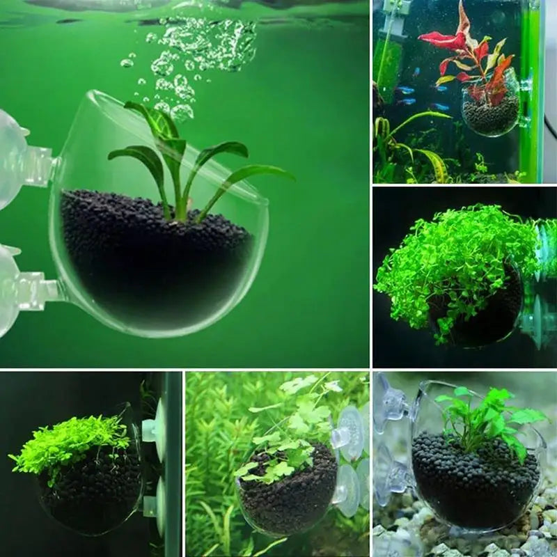 Acrylic Aquatic Plant Cup Aquarium Fish Tank Glass Plant Pot with Suction Holder Feeding Container Stand for Aquarium Lanscape