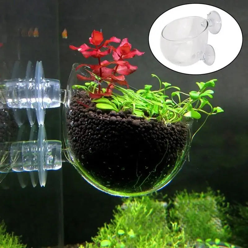 Acrylic Aquatic Plant Cup Aquarium Fish Tank Glass Plant Pot with Suction Holder Feeding Container Stand for Aquarium Lanscape