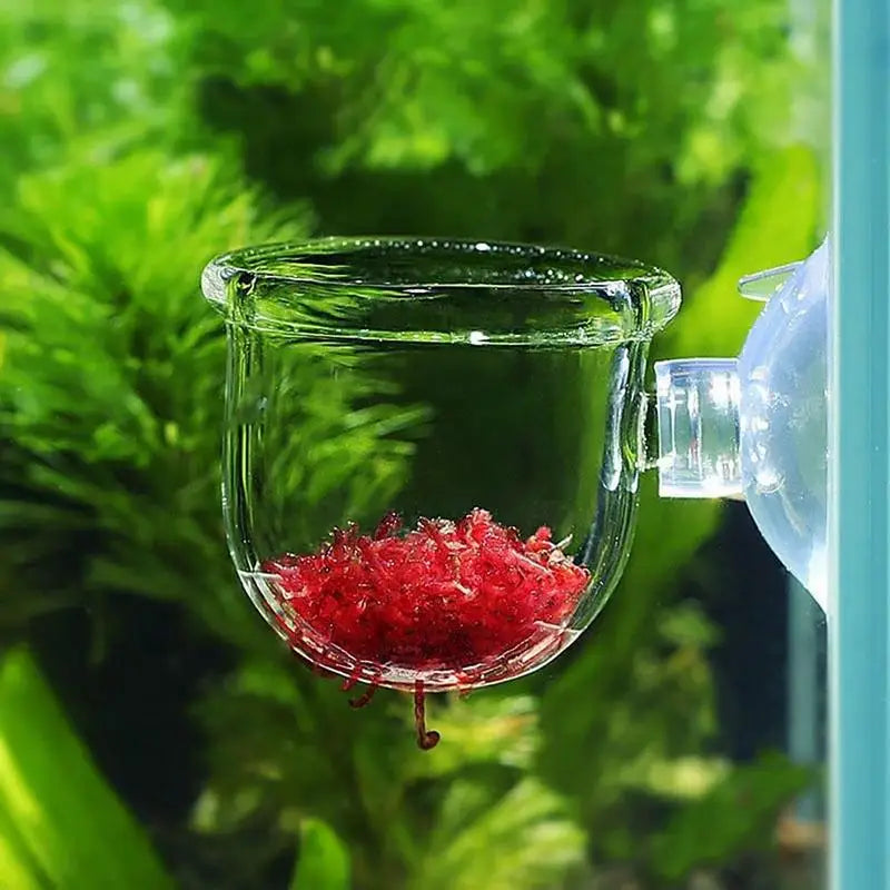 Acrylic Aquatic Plant Cup Aquarium Fish Tank Glass Plant Pot with Suction Holder Feeding Container Stand for Aquarium Lanscape